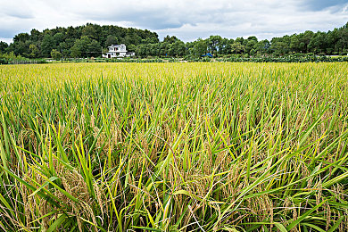 免费污软件｜揭秘免费游戏陷阱：警惕“免费污软件”暗藏危机-4