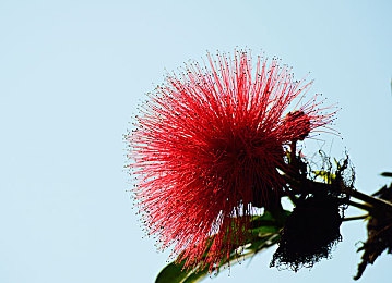 天堂在线www｜揭秘天堂在线：畅游虚拟世界，体验逼真游戏与社交魅力-2