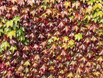 日本拉屎泄粪｜探寻日本厕所艺术：揭秘清洁与科技融合的神秘世界-2