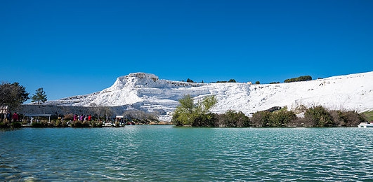 小狐狸直播|小狐狸直播:趣味互动,视觉盛宴,网络直播界的一股清流-2