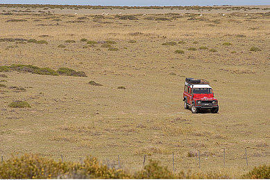十八禁黄|解锁成人娱乐新境界:揭秘“十八禁黄”的视听盛宴与隐私守护-2