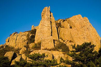 大菠萝福利app｜揭秘：大菠萝福利APP，引领潮流的便捷生活福利管家