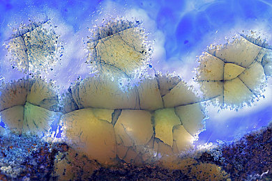 LUTUBE轻量版iOS下载链接｜轻巧畅享，LUTUBE轻量版iOS开启视频新纪元