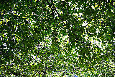 男男猛男办公室激情欧美｜男男猛男职场冒险：欧美办公室激情挑战，体验刺激职场巅峰之旅-2