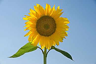 男男暴菊Gay无套国产｜男男暴力事件引发热议：性少数群体安全意识待加强，社会呼吁共建和谐环境-4