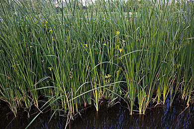 台湾GAY体育生GⅤ无套｜台湾GAY体育生社交媒体GⅤ事件：隐私伦理冲突与同性恋群体权益探讨-4