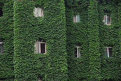 三黑战斗刘玥最经典十句话｜揭秘“三黑战斗刘玥”：十大经典语录展现网络语言魅力与正义之声-3