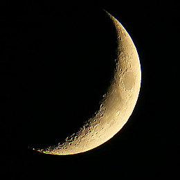 黄色应用下载3.0.3｜网络安全守卫者：净化网络，守护清朗空间-4