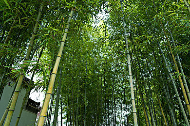 天娱传媒梦梦回家相亲｜天娱传媒“梦梦回家相亲”独特模式走红，单身男女寻找真爱之旅-3