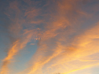 公交车痴汉揉搓双乳｜公交安全再敲警钟,女性权益亟待加强-4