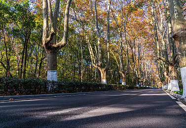 长途汽车与陌生男人故事也是|长途汽车邂逅:陌生男人间的故事,温暖心灵共鸣之旅-1