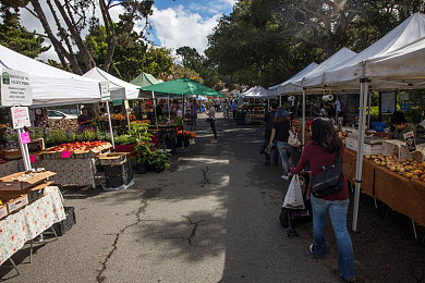 免费网站你懂我意思吧｜数字时代探秘：免费网站的多面镜-2