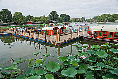 男生女生一起差差软件｜性别差异趣味互动，增进理解新平台-3