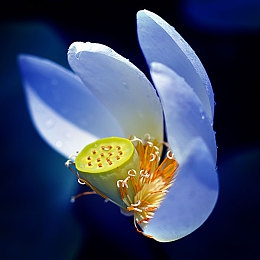 葫芦娃不卖药只卖千万｜“葫芦娃华丽蜕变：从药摊到千万市场，创新引领潮流之旅”-3