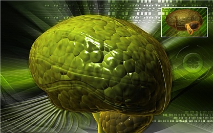 5x社区｜“智慧社区新篇章：5x社区引领生活品质革新之旅”-3