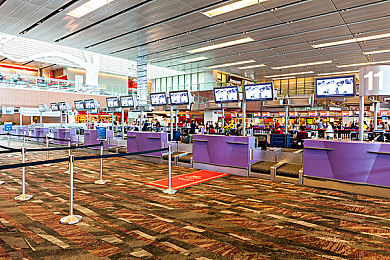 火箭少女流豆浆动漫｜动漫潮涌，火箭少女与流行文化共织梦幻新篇章-1