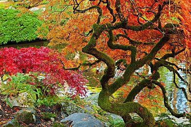 CnⅰneSe偷看农妇BBw｜“农妇洗澡遭偷窥：隐私权受损，社会道德亟待反思，法律严惩侵犯者”-5