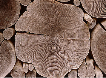 私密按摩师让我高潮了6次正常吗｜身体疗愈新视野,私密按摩的界限与挑战-3