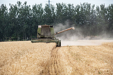 火影忍者成人游戏18｜火影激情演绎：成人游戏版，全新视觉感官盛宴-2