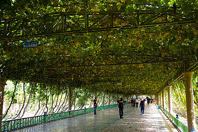 前锋与击球手汉化版下载|畅享足球盛宴,汉化版《前锋与击球手》竞技无限-3