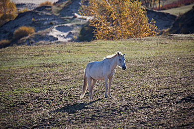 99re久久|久久为功,铸就卓越未来之路-2