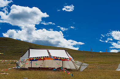 三个小男孩在森林公园｜森林探险奇遇记：勇敢智慧少年安全归来，唤起户外安全教育警钟-2