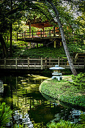 国产久|国产久崛起:中国科技品牌创新驱动,国际化征程中的民族荣耀-3