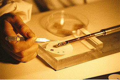 Free   国产天美MD视频｜国产天美MD，畅享影视盛宴，创新魅力无限-4