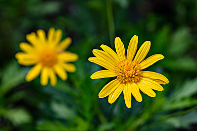 别墅轮换游戏5｜“别墅轮换游戏5”走红网络：体验多元化生活方式，推动产业发展-3