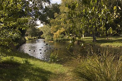 可乐导航｜智行新篇章，可乐导航领航出行未来-4