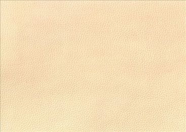 黄色软件下载3.0.3每天｜每日焕新，互动无限：黄色软件3.0.3版本引关注，科技魅力新体验-1