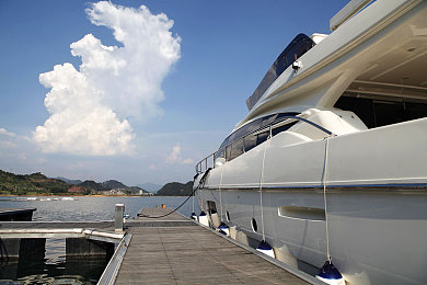 路人娘牧场汉化版免费下载安装｜田园牧歌生活，轻松养殖种植，路人娘牧场汉化版免费体验-4