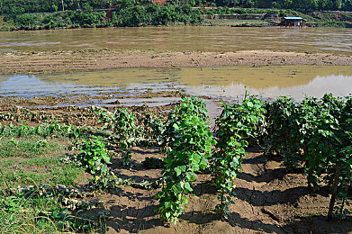 ucjizz｜高校创新创业新风向：UCJizz项目引领大学生实战演练潮流，助力创新梦想起航-1