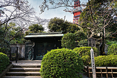 性视界｜揭秘情缘：跨越禁忌的性视界之旅-4