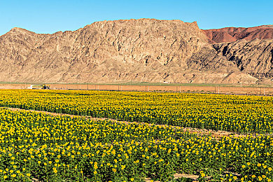 五月天婷婷综合网｜五月天婷婷综合网：引领网络文化潮流，塑造年轻一代价值观-2