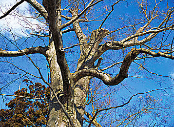 free性高满足HD性Bww｜“创新突破，我国知名企业发布free性高满足HD性Bww新型产品，引领市场新潮流”-3