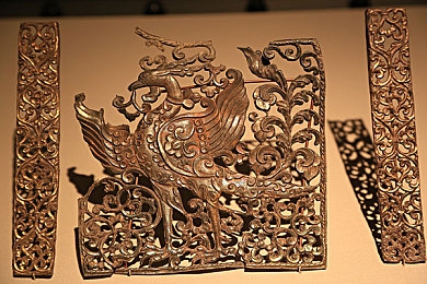 猫咪社区v3.2.0版本更新内容详解｜猫咪社区全新版本上线，智能匹配与健康管理引关注-2