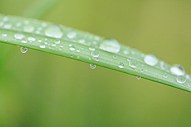啊～贺朝你tm别 了麻豆｜“独特创意引爆营销新潮流：“啊～贺朝你tm别了麻豆”助力品牌焕发新生-4