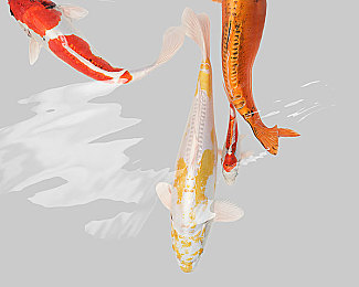 欧洲成人一区二区三区｜欧洲情色光影之旅：一区二区三区激情揭秘-3