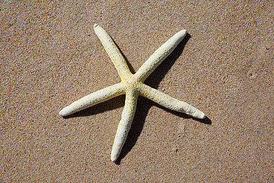 逼影院｜沉浸式影院游戏之旅：化身放映员，互动演绎电影传奇-1