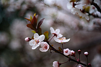 黄色aPP下载3.0.3免费2024|揭秘免费新篇章:3.0.3版‘黄色APP’引领便捷生活新潮流-4