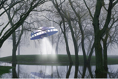 蝴蝶直播|直播新风尚,蝴蝶领航赢未来-4