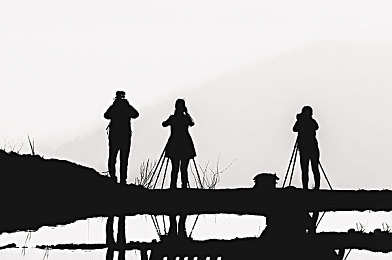 夜蝶直播｜夜蝶直播风云，青春时尚盛宴-2