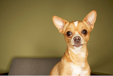 男生和女生差差差的APP｜性别差异大揭秘，趣味互动，增进人际交往-4