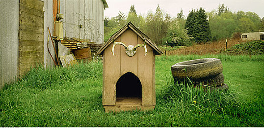 黄色APP下载免费|畅享免费游戏乐趣,轻松缓解工作压力-5