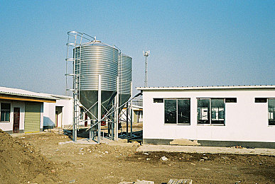 Free   性HD另类动漫｜网络迷踪：守护青少年的高清世界-4