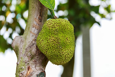 羽毛球某钊颖去哪里了｜羽坛明星谜踪：某钊颖失踪追踪之旅-2