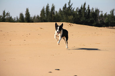 男 男 Gay的网站｜网恋秘境：同性恋社交世界的奥秘探索-3