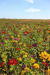 性福宝导航｜数字化护航，性福导航引领健康潮-2