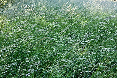 火影忍者黄色游戏｜《火影忍者》沉浸式体验：揭秘黄色游戏创新玩法与奇幻冒险-5